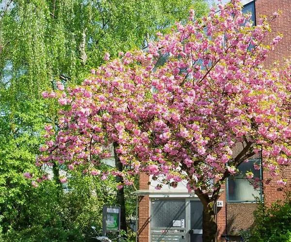 A&A Apartment Am Langen Weiher